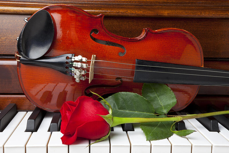 Violin and Rose — Red