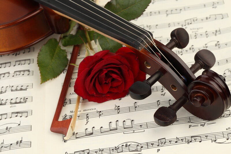 Violin and Rose
