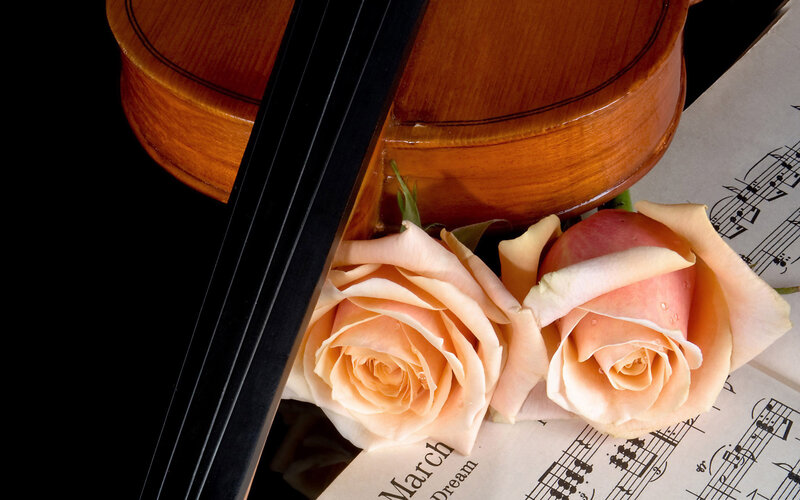 Violin and Roses — Brown, Serene
