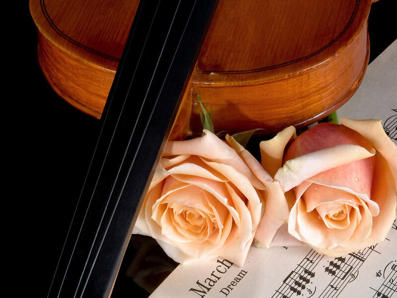 Violin and Roses — Brown