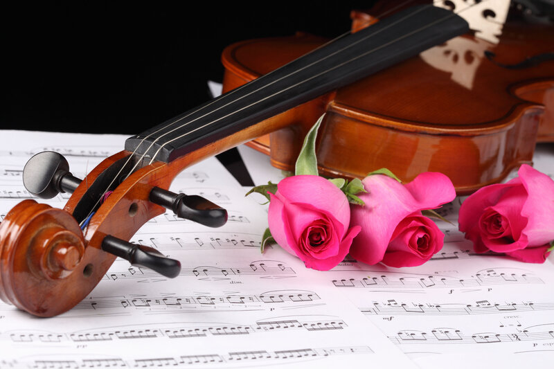 Violin and Roses — Pink, Serene, Photograph