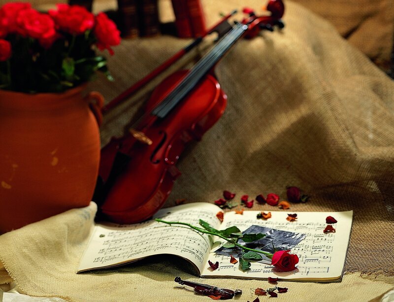 Violin and roses still life