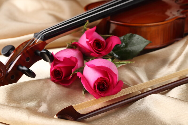 Violin and Roses
