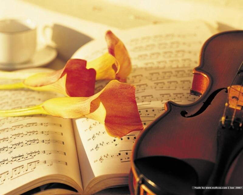 Violin and sheet music with flowers