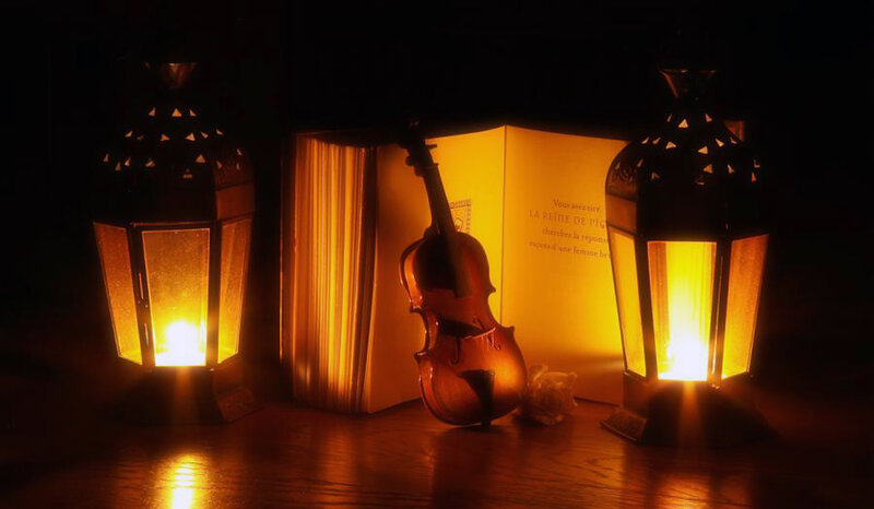 Violin Between Books