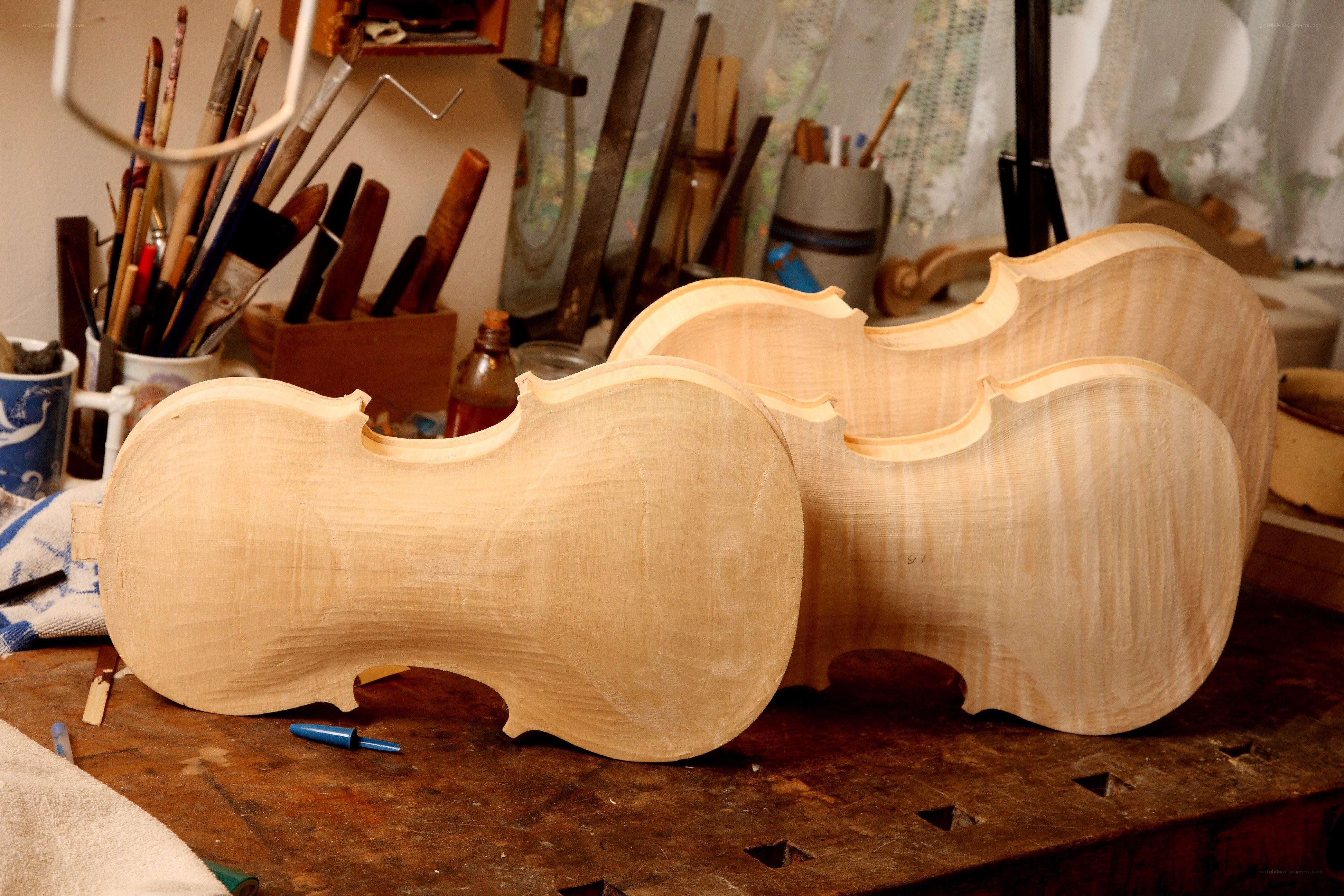 Violin bodies in a luthier's workshop