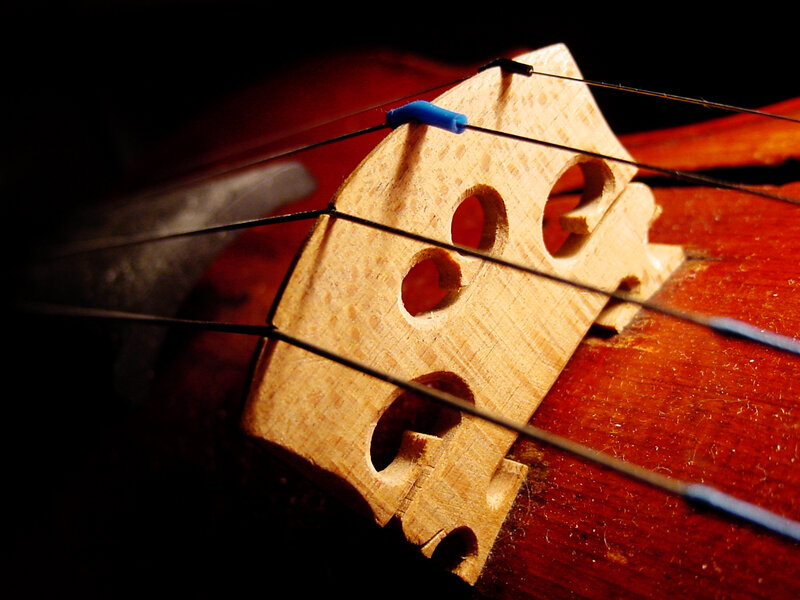 Violin Bridge and Strings — Brown