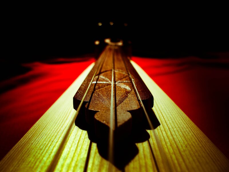 Violin Bridge and Strings