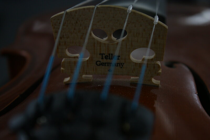 Violin Bridge Close-up