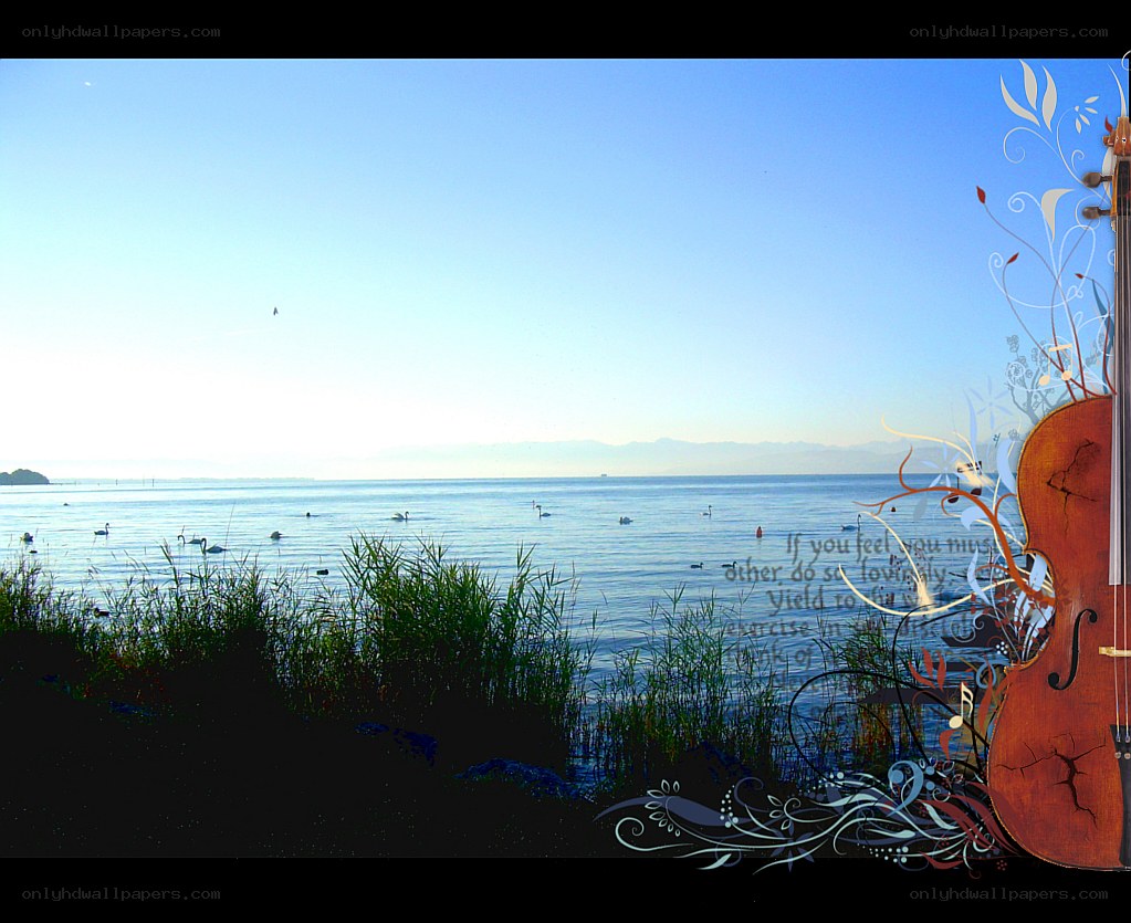 Violin by the lake