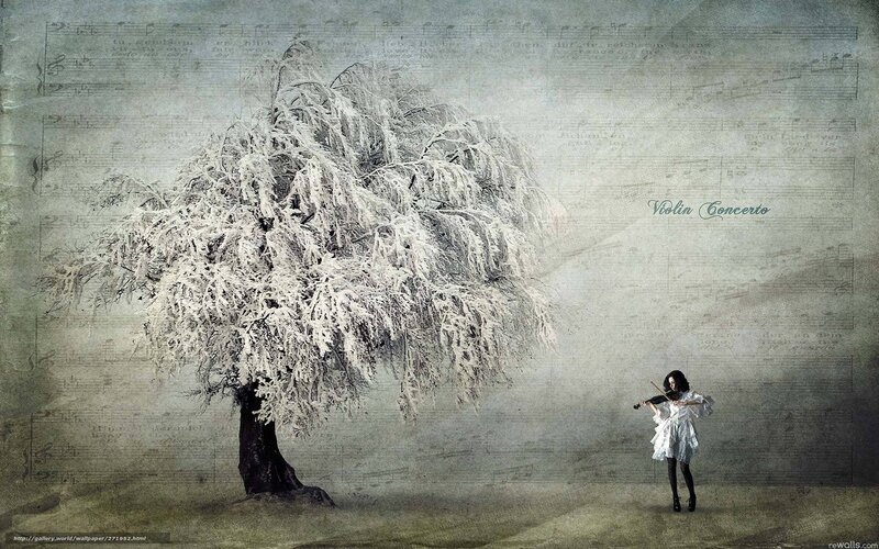 Violin Concerto Artwork