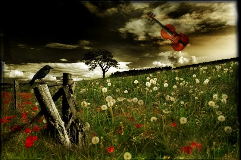 Violin Floating in Field