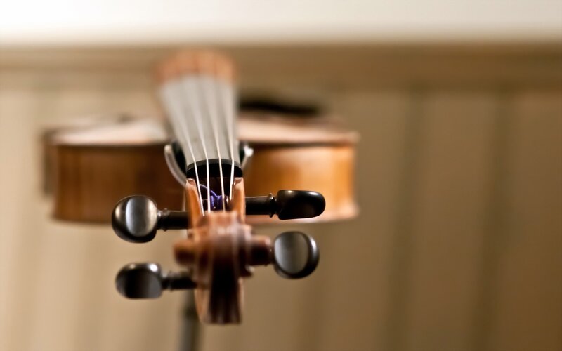 Violin Headstock