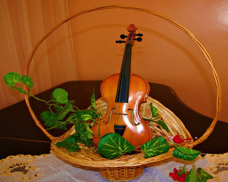 Violin in a Basket