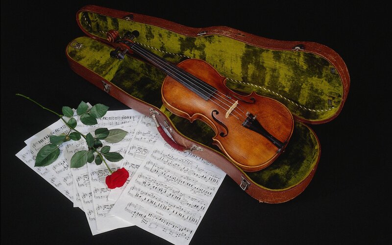 Violin in Case — Black