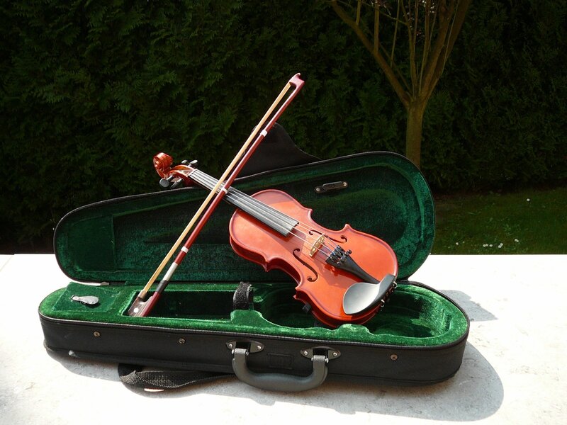 Violin in Case — Green