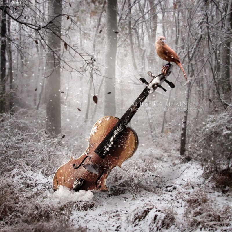 Violin in Snow — Brown