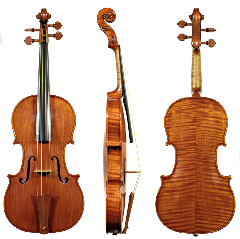 Violin Instrument