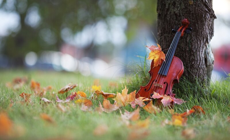 Violin Leaning Against Tree