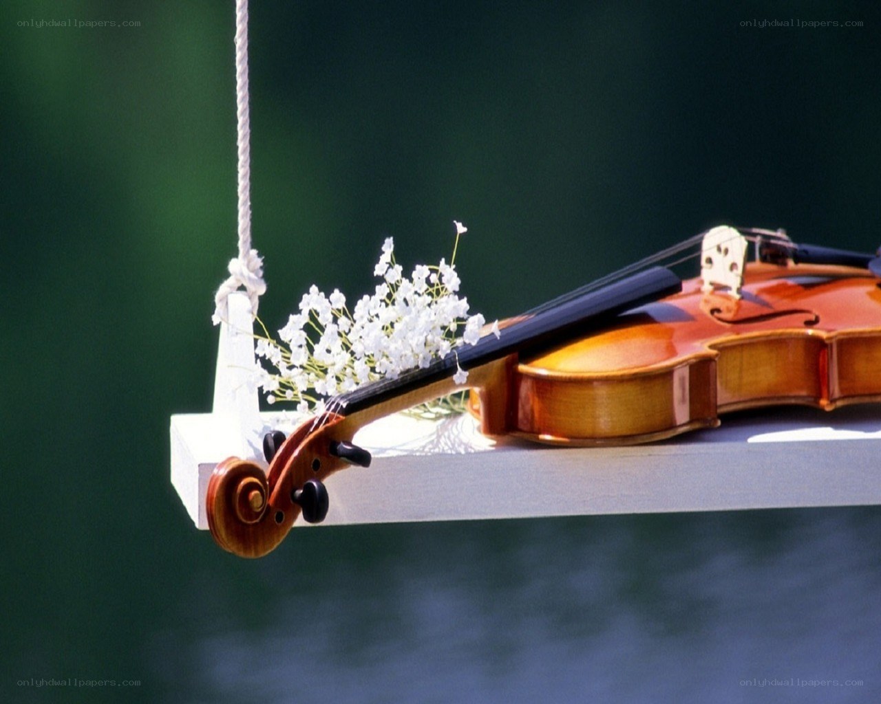 Violin on a swing with flowers