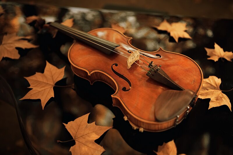 Violin on Autumn Leaves