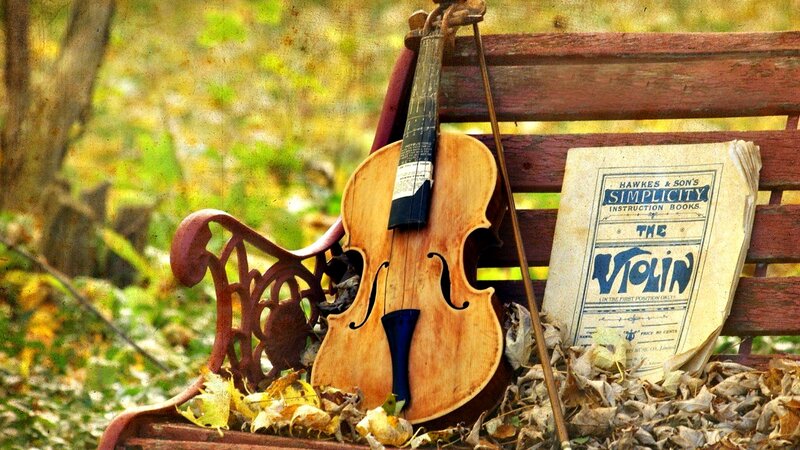 Violin on Bench — Brown