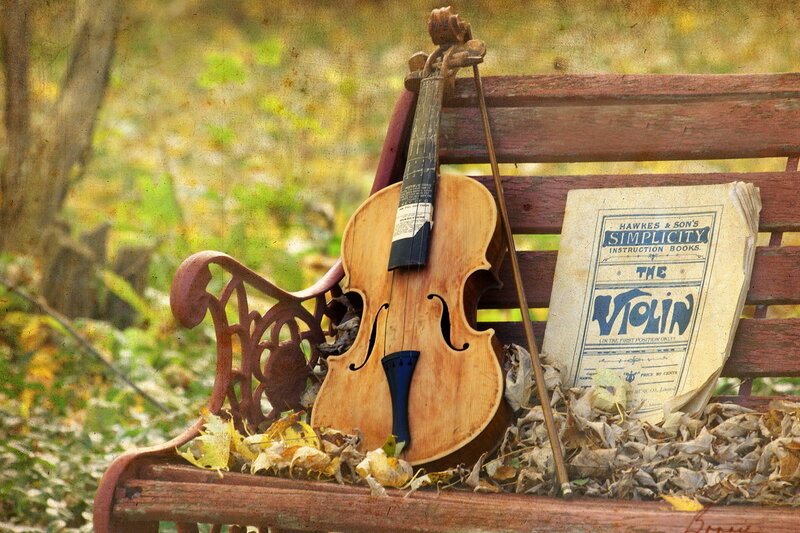 Violin on Bench