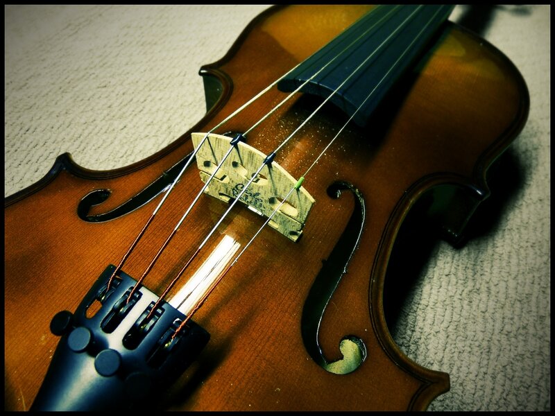 Violin on Carpet