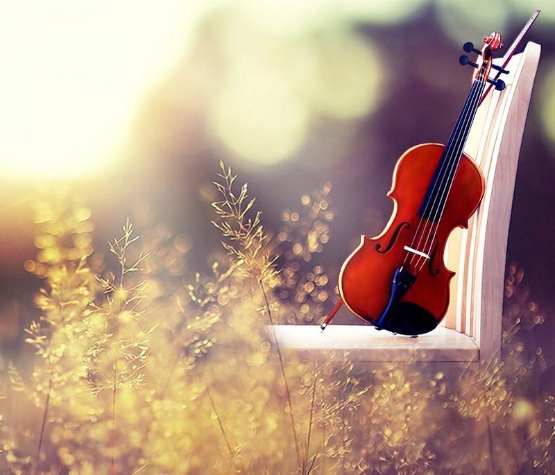 Violin on Chair