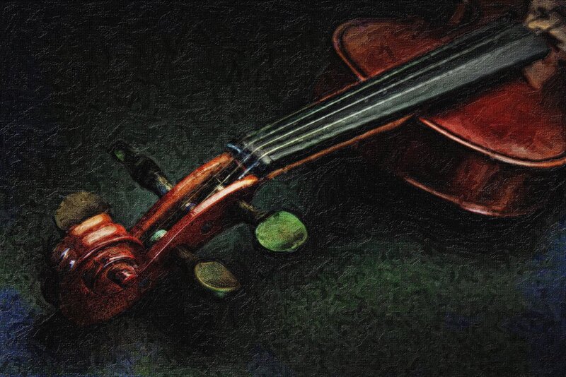 Violin on Dark Surface — Black