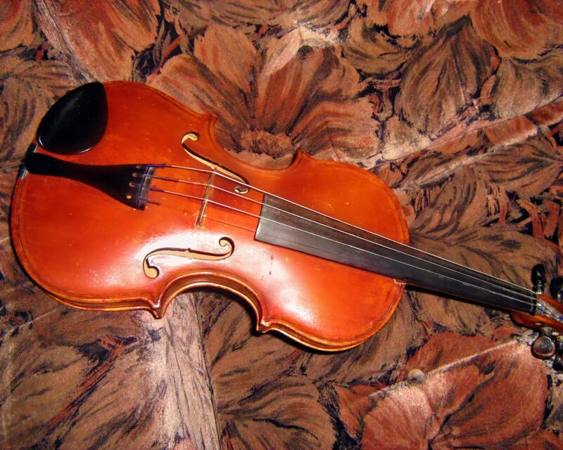 Violin on Fabric