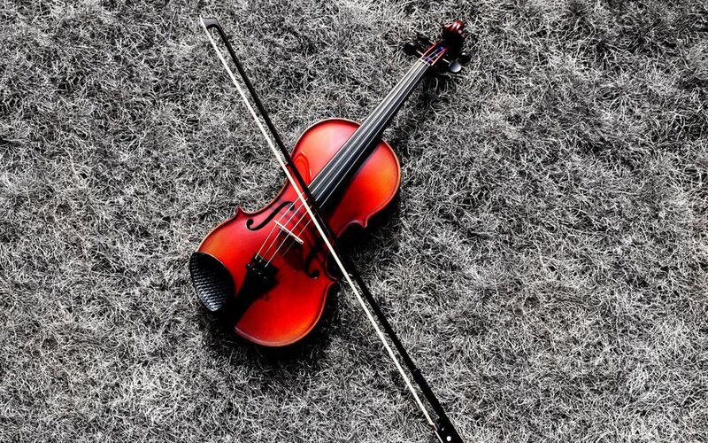 Violin on grass background
