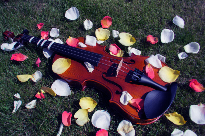 Violin on Grass — Green