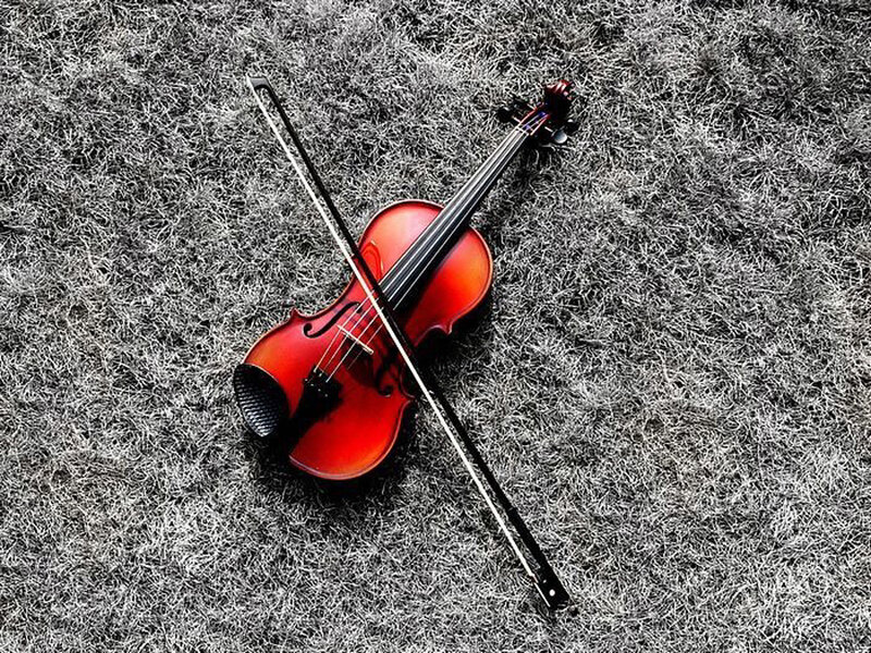 Violin on Grass — Red, Serene