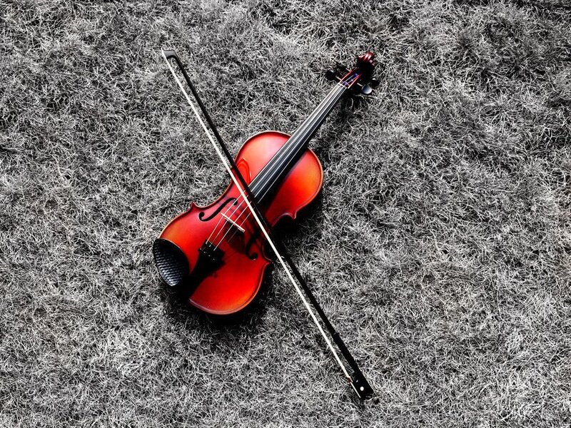 Violin on grass with bow