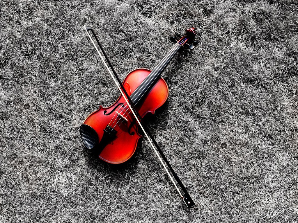 Violin on grass