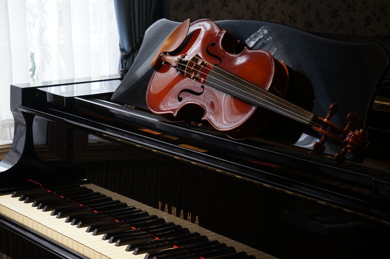 Violin on Piano — Black
