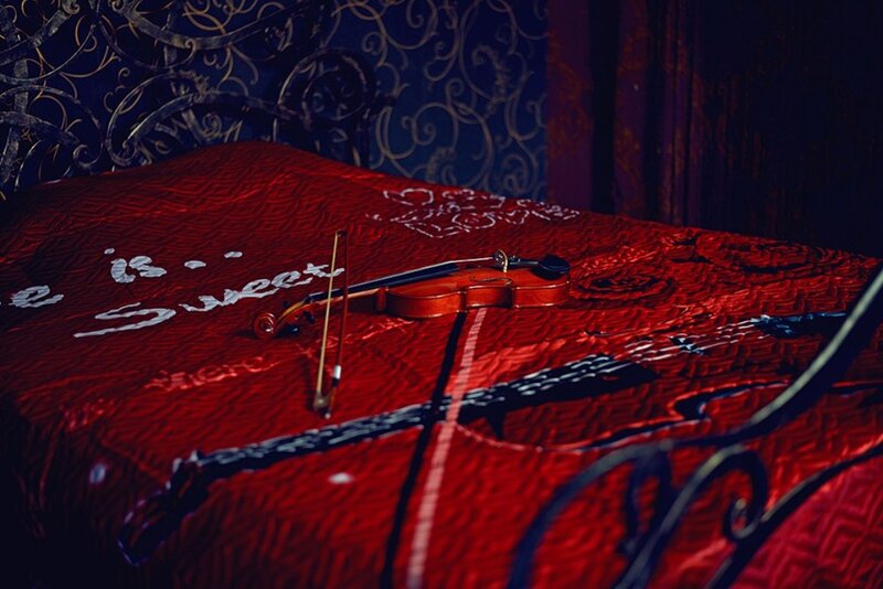 Violin on Red Bed