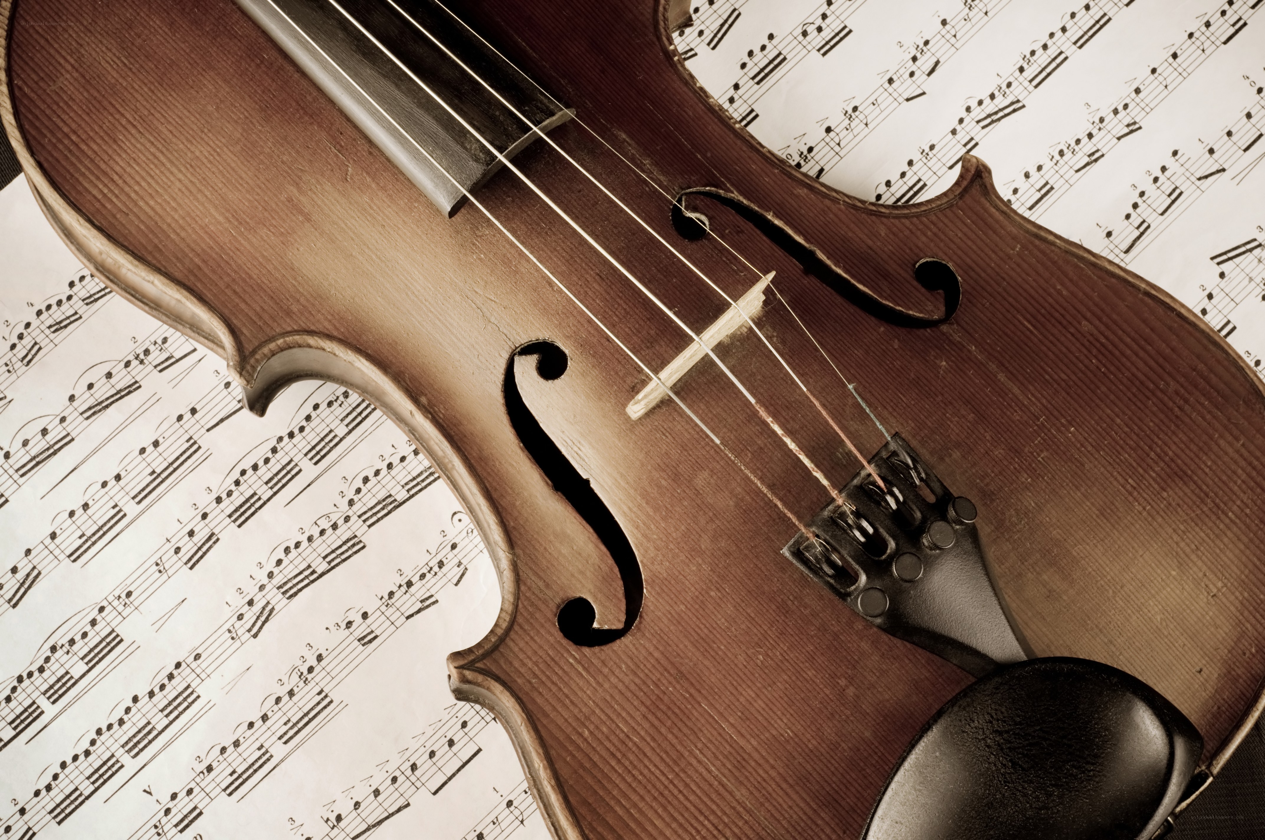 Violin on sheet music