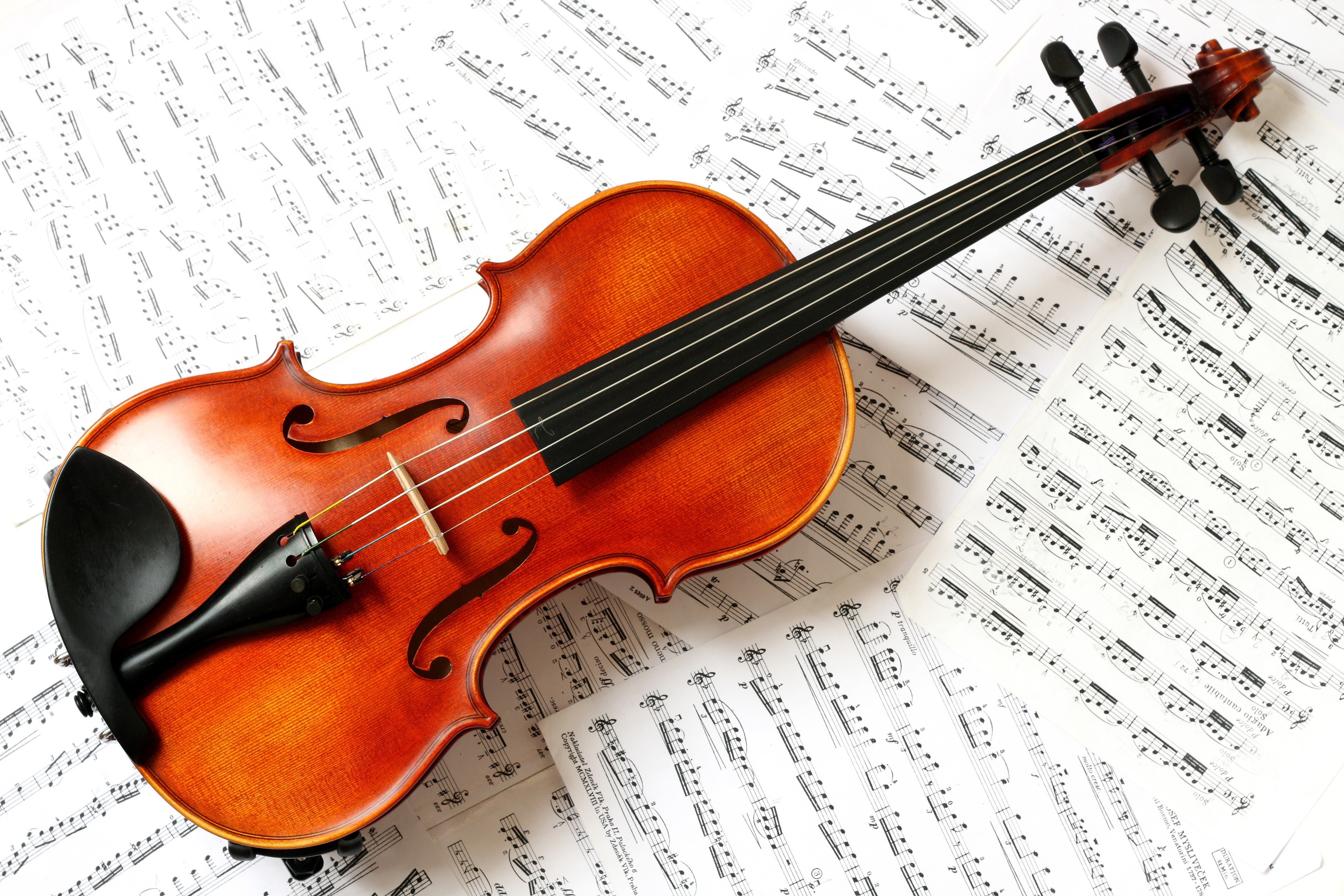 Violin on sheet music