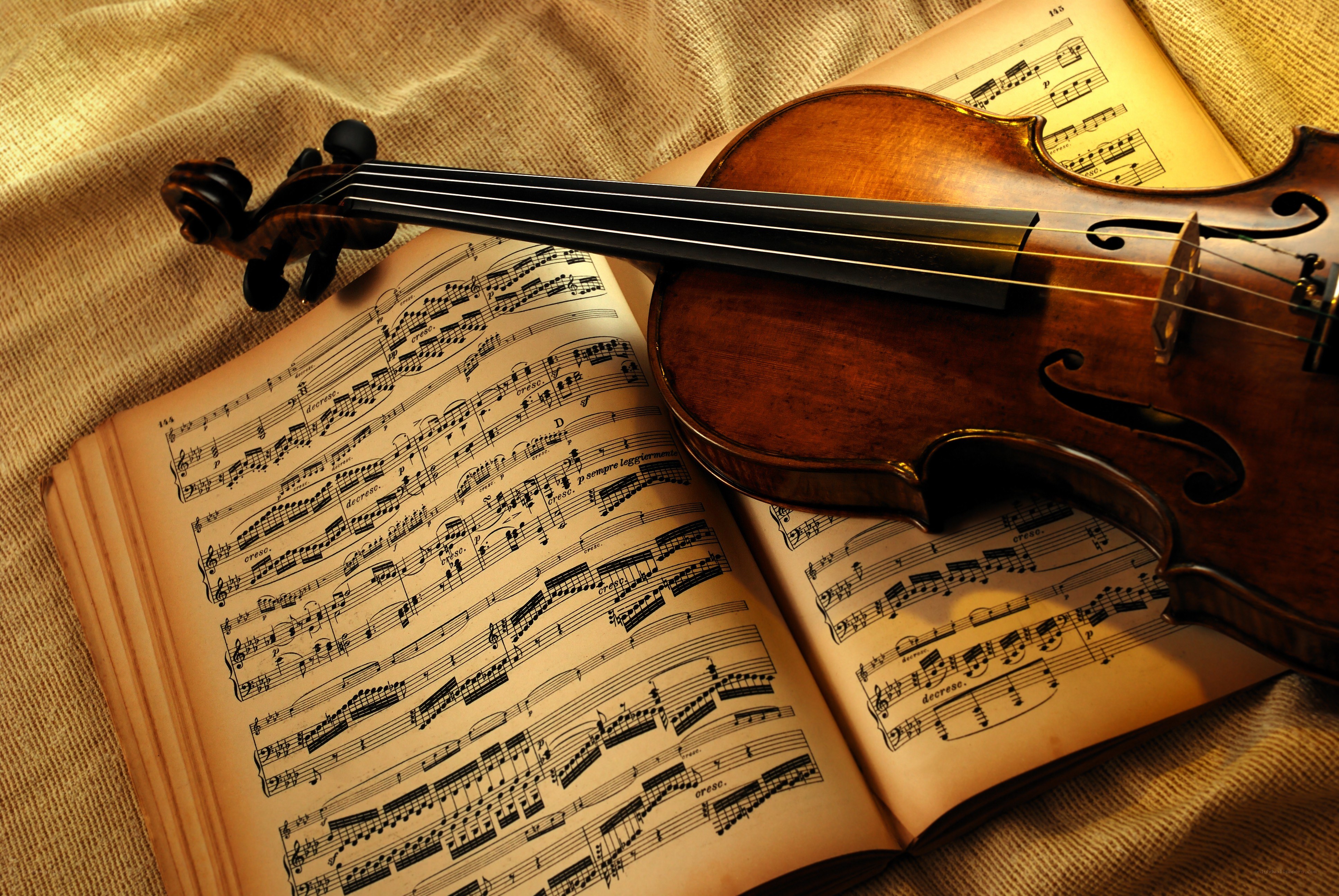 Violin on sheet music
