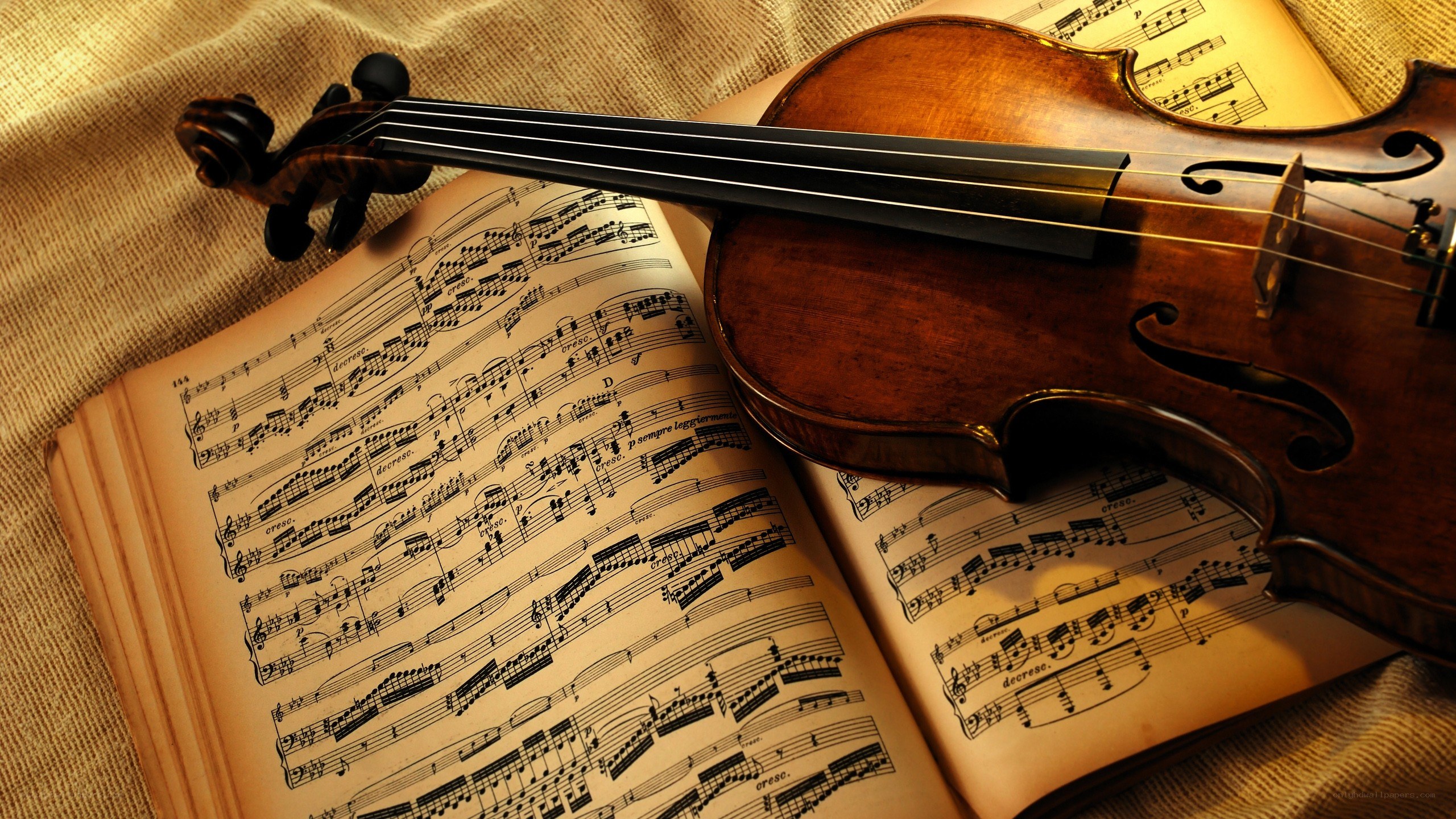 Violin on sheet music