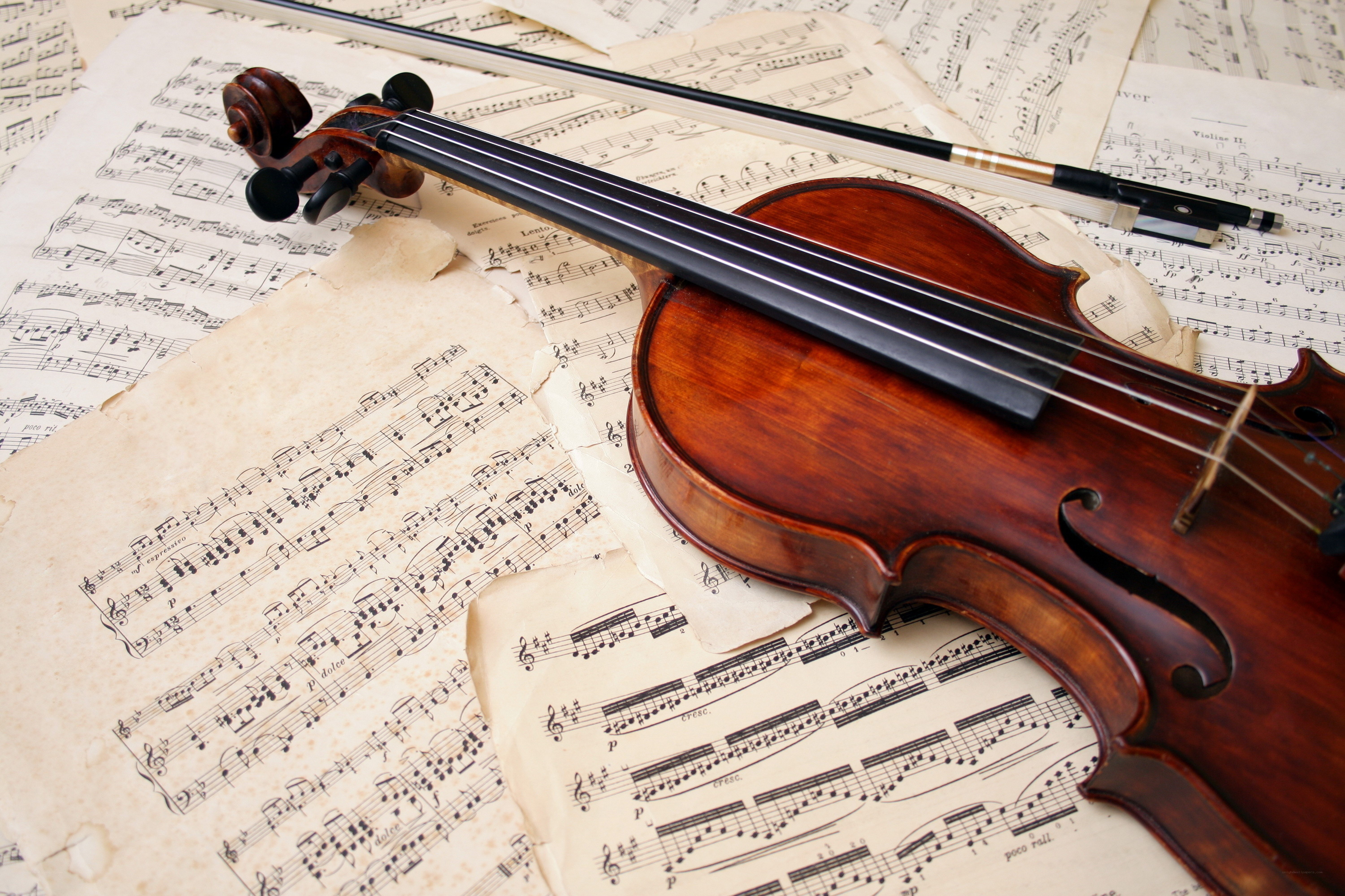 Violin on sheet music