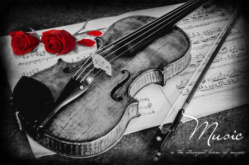 Violin on Sheet Music — Black, Dramatic, Photograph, Rose