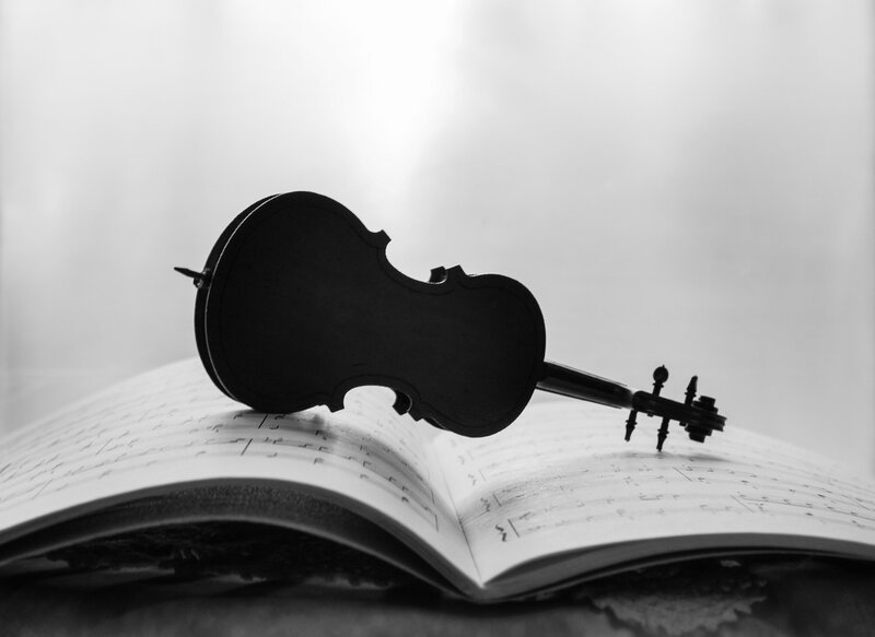 Violin on Sheet Music — Black, Serene