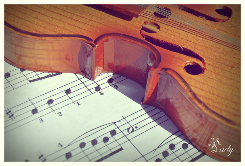 Violin on Sheet Music — Brown, Calm, Afternoon