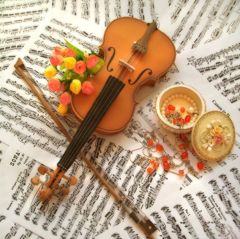 Violin on Sheet Music — Brown, Serene, Photograph, Flowers