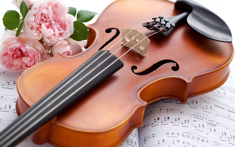 Violin on Sheet Music — Brown, Serene, Photograph