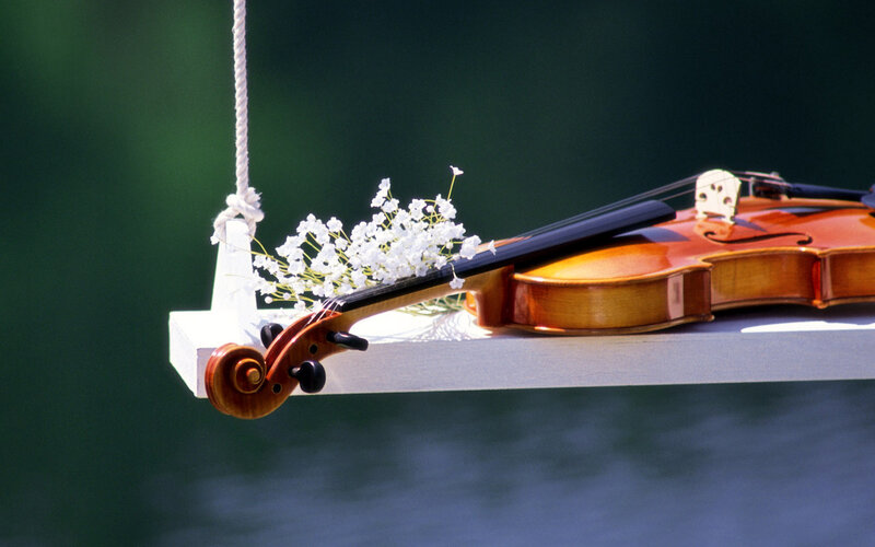 Violin on Swing — Brown