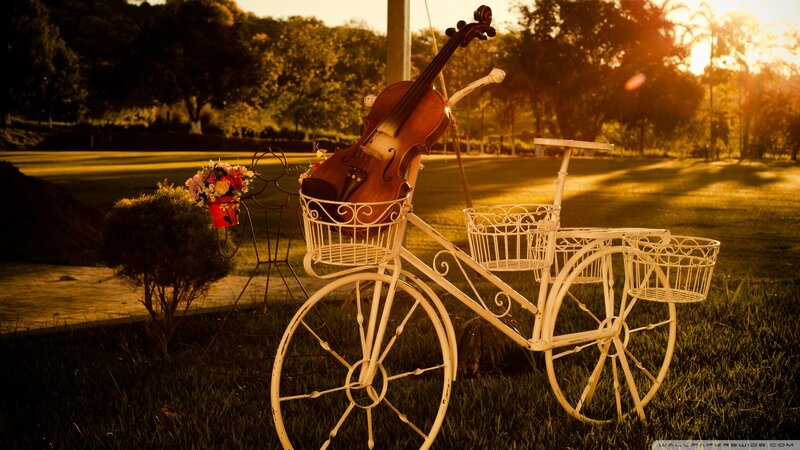 Violin on White Bicycle